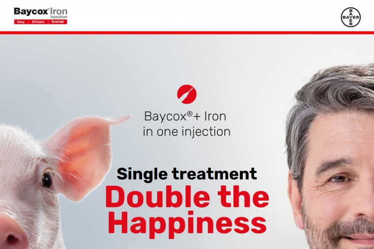 Baycox Iron
